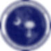 South Carolina Foreign Language Teachers Association (SCFLTA)